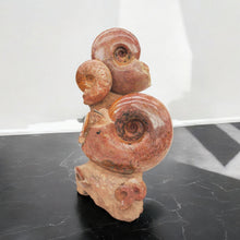 Load image into Gallery viewer, 'A' Grade | Ammonite Group | Lytoceras sp. | France