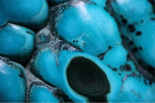 Load image into Gallery viewer, Malachite & Chrysocolla "Eye" | Congo