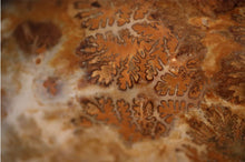 Load image into Gallery viewer, Large Madagascar Mounted Ammonite