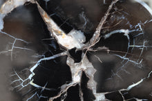 Load image into Gallery viewer, Black Petrified Wood Slice | Indonesia