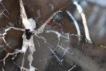 Load image into Gallery viewer, Black Petrified Wood Slice | Indonesia