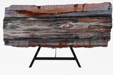 Load image into Gallery viewer, 'A' Grade | Petrified Wood Slice | Arizona, USA