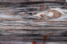 Load image into Gallery viewer, 'A' Grade | Petrified Wood Slice | Arizona, USA