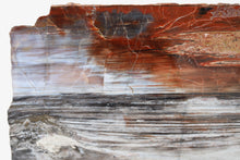 Load image into Gallery viewer, 'A' Grade | Petrified Wood Slice | Arizona, USA