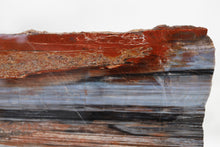 Load image into Gallery viewer, 'A' Grade | Petrified Wood Slice | Arizona, USA