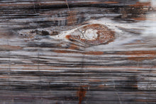 Load image into Gallery viewer, 'A' Grade | Petrified Wood Slice | Arizona, USA