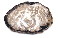 Load image into Gallery viewer, Medium petrified wood plate | Indonesia