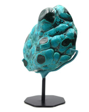 Load image into Gallery viewer, Malachite & Chrysocolla "Eye" | Congo