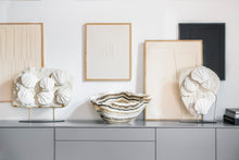 Load image into Gallery viewer, 'A' Grade Group of Fossilized Shells | La Coste, Southern France