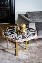 Load image into Gallery viewer, Petrified wood table | Indonesia