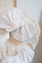Load image into Gallery viewer, 'A' Grade | Group of Fossilized Scallops