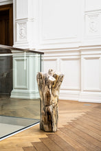 Load image into Gallery viewer, Petrified wood log