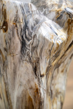 Load image into Gallery viewer, Petrified wood log