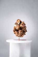 Load image into Gallery viewer, 'A' Grade Desert Rose Selenite Crystal