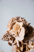Load image into Gallery viewer, 'A' Grade Desert Rose Selenite Crystal