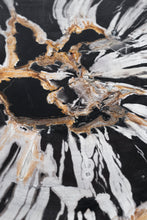 Load image into Gallery viewer, Petrified wood table | Indonesia