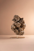 Load image into Gallery viewer, 'A' Grade Desert Rose Selenite Crystal