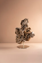 Load image into Gallery viewer, 'A' Grade Desert Rose Selenite Crystal