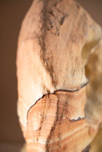 Load image into Gallery viewer, 'A' Grade Wonderstone | USA