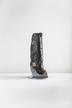 Load image into Gallery viewer, Black Ammonite | Germany