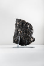 Load image into Gallery viewer, Black Ammonite | Germany
