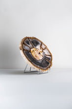 Load image into Gallery viewer, SOLD | 'A' Grade Petrified Wood Slice from Stinking Water, Oregon, USA.