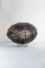 Load image into Gallery viewer, SOLD | 'A' Grade Petrified Wood Slice from Stinking Water, Oregon, USA.