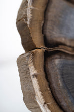 Load image into Gallery viewer, SOLD | 'A' Grade Petrified Wood Slice from Stinking Water, Oregon, USA.