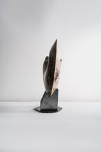 Load image into Gallery viewer, Ammonite | Mexico