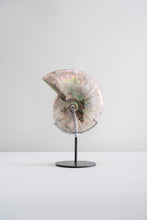 Load image into Gallery viewer, 'A' Grade | Iridescent Ammonite | Madagascar