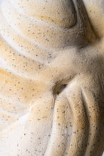 Load image into Gallery viewer, 'A' Grade | Small Gogotte