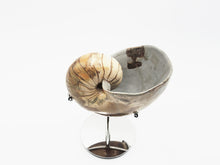 Load image into Gallery viewer, Ammonite | Madagascar