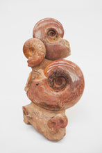 Load image into Gallery viewer, 'A' Grade | Ammonite Group | Lytoceras sp. | France
