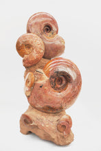Load image into Gallery viewer, 'A' Grade | Ammonite Group | Lytoceras sp. | France