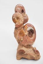 Load image into Gallery viewer, 'A' Grade | Ammonite Group | Lytoceras sp. | France