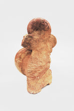 Load image into Gallery viewer, 'A' Grade | Ammonite Group | Lytoceras sp. | France
