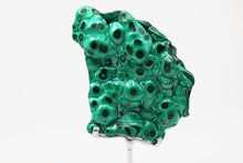 Load image into Gallery viewer, Mounted Chrysocolla & Malachite | Congo