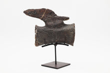 Load image into Gallery viewer, Mounted Vertebra of a Diplodocus | Morrison Formation, Wyoming, USA