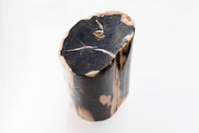 Load image into Gallery viewer, Petrified Wood trunk | Indonesia