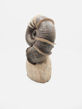 Load image into Gallery viewer, SOLD | A Large ‘Winged’ Ammonite | France