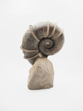 Load image into Gallery viewer, SOLD | A Large ‘Winged’ Ammonite | France