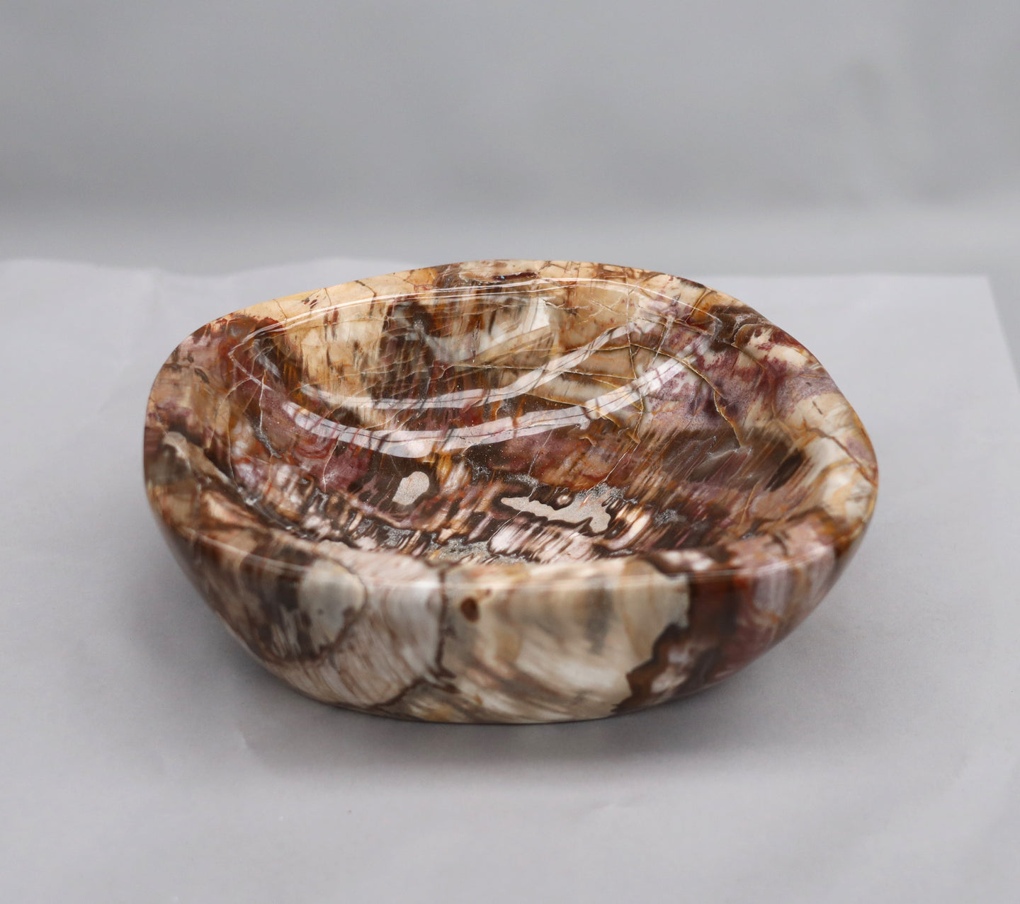 Petrified wood bowl | Madagscar