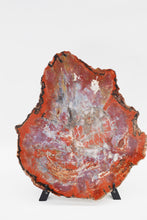 Load image into Gallery viewer, &#39;A&#39; Grade | Petrified Wood Slab | Arizona, USA
