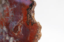 Load image into Gallery viewer, &#39;A&#39; Grade | Petrified Wood Slab | Arizona, USA
