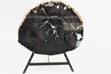 Load image into Gallery viewer, Black Petrified Wood Slice | Indonesia
