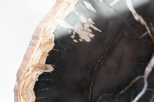 Load image into Gallery viewer, Black Petrified Wood Slice | Indonesia
