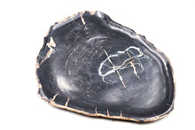 Load image into Gallery viewer, Large petrified wood plate | Indonesia
