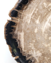 Load image into Gallery viewer, Medium petrified wood plate | Indonesia
