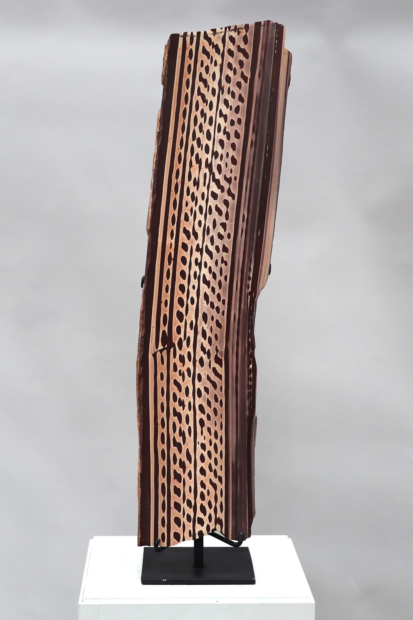 Zebra Jasper Slabs Pair | Australia