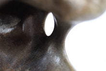 Load image into Gallery viewer, Sculptural Quartzite Boulder | Brazil
